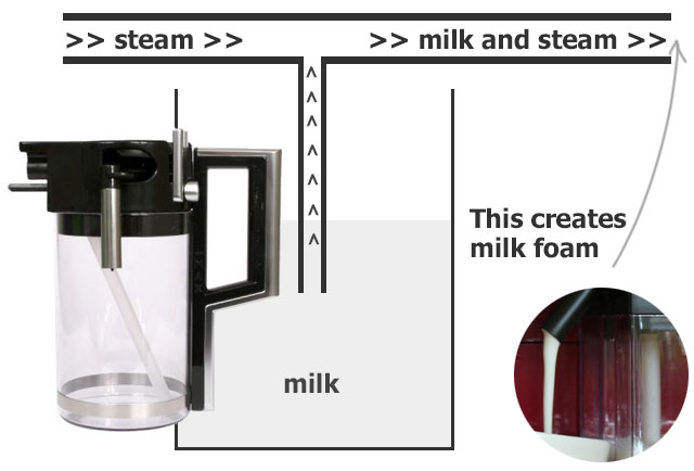 how does automatic milk frother work