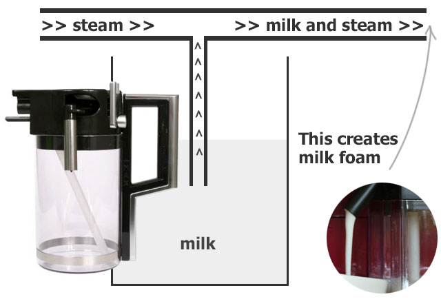 What Does A Milk Steamer Do